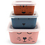 Jollein Jollein snack box bamboo Animal club 3pcs