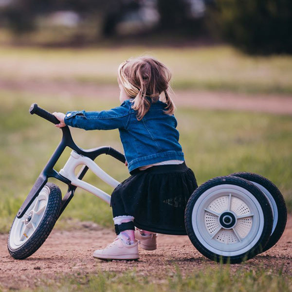 wishbone trike