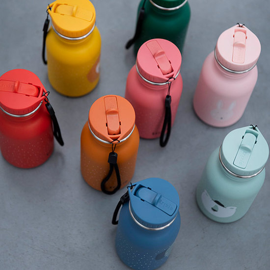 Trixie Drinking bottle 500ml - Mr. Lion - Trixie