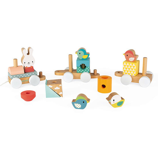 Janod Janod building blocks train Pure