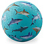 Crocodile Creek Crocodile Creek speelbal 13cm - Sharks