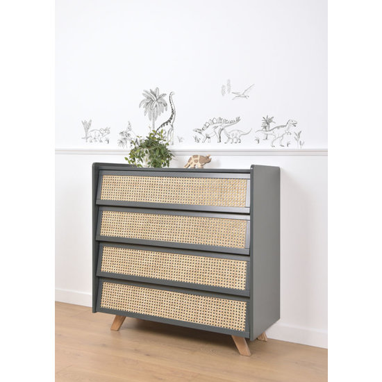 Lilipinso Wall stickers Dinosaurs and Plants - Lilipinso