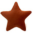 Nobodinoz tipi en accessoires Ster kussen Aristote Wild Brown Nobodinoz