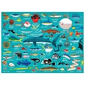Mudpuppy Mudpuppy puzzle Ocean life 1000 pièces