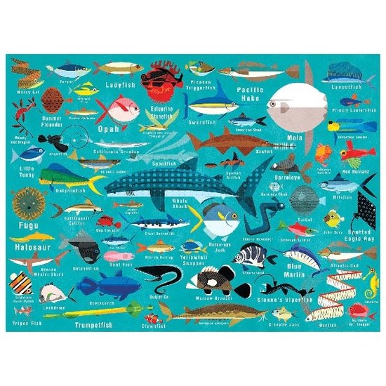 Mudpuppy Mudpuppy Puzzle Ocean life 1000 Teile