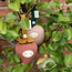 Fabelab Fabelab maxi cosi speeltje Strawberry