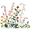 Lilipinso Lilipinso stickers muraux Queyran Large Wild Flowers