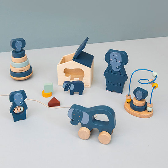 Trixie Trixie pull along toy Mr. Crocodile