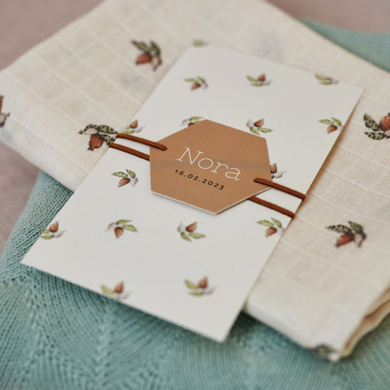 Jollein Jollein hydrofiel monddoekje Rosehip 3pack