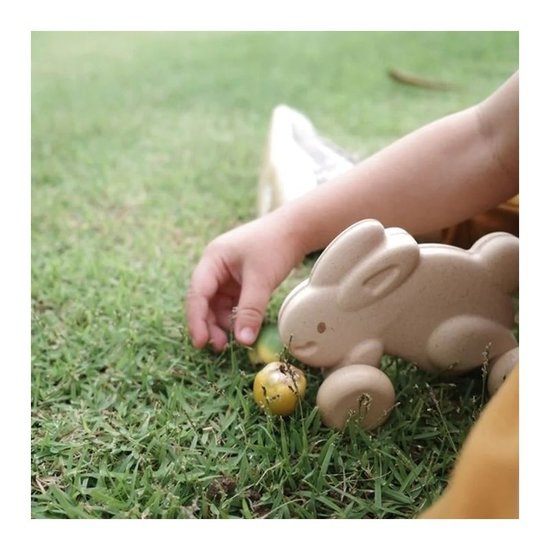 Plan Toys Plan Toys bunny - White