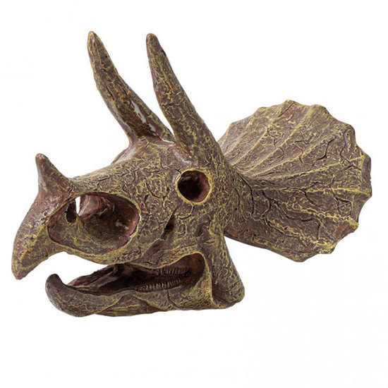 Buki Buki uitgraafset dinosaurusschedel Triceratops