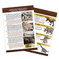 Buki Buki kit d'excavation crâne de dinosaure Triceratops