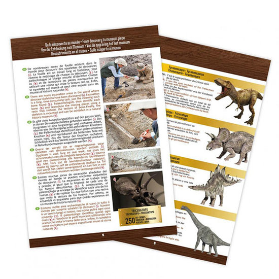 Buki Buki excavation set dinosaur skull Triceratops