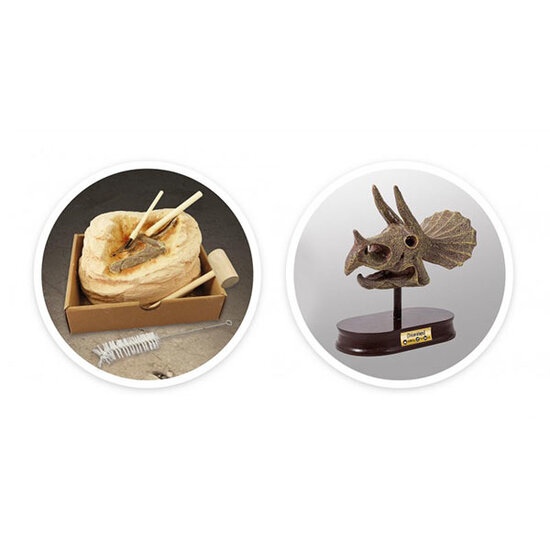 Buki Buki excavation set dinosaur skull Triceratops