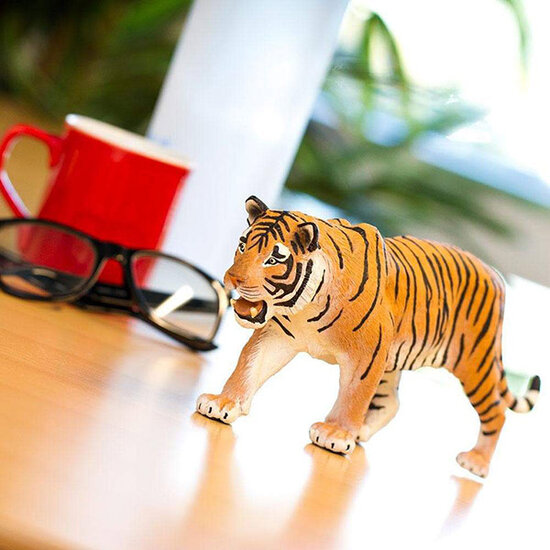 Safari Ltd Safari Ltd. | Speelfiguren Zuid-Afrikaanse Dieren