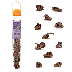 Safari Ltd Dinosaur Skulls toys