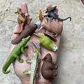 Safari Ltd Safari Ltd. | Speelfiguren Huisdieren