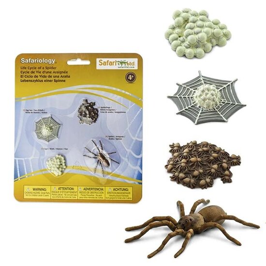 Safari Ltd Levenscyclus spin Safari Ltd