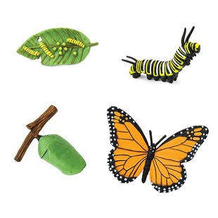 Safari Ltd life cycle Monarch butterfly