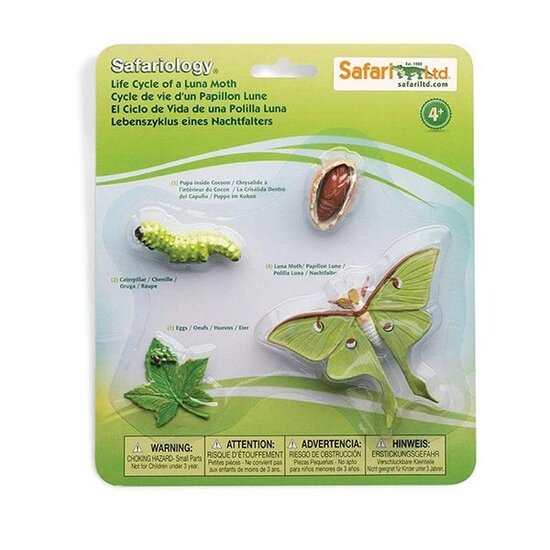 Safari Ltd Safari Ltd life cycle of a moon butterfly