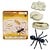 Safari Ltd Safari Ltd life cycle of an ant