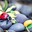 Safari Ltd Safari Ltd life cycle of a ladybug