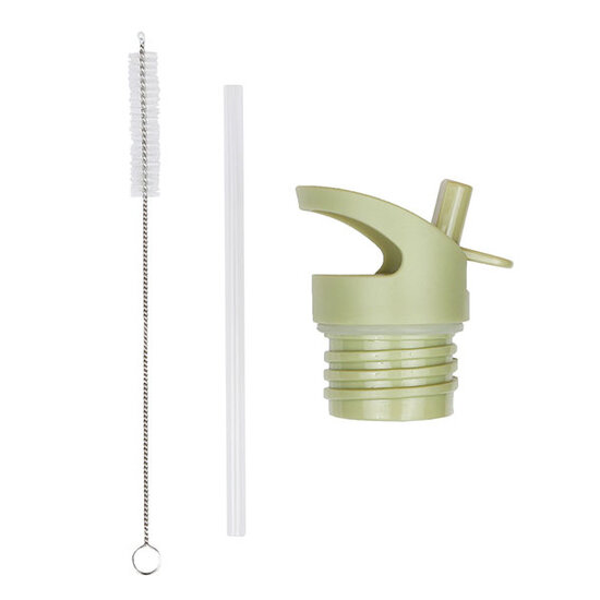 A Little Lovely Company Lid straw and brush set Dinosaurs