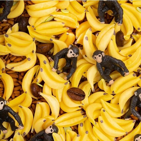 Petit Boum Bouteille sensorielle monkey Petit Boum