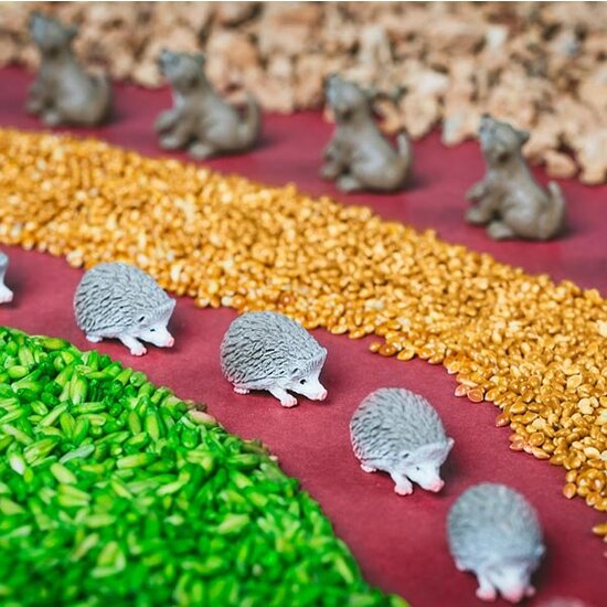 Petit Boum Petit Boum Sensorikflasche - forest