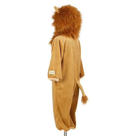 Souza Souza Lion costume