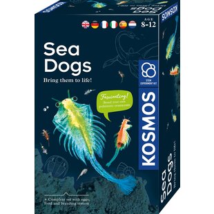 Kosmos | Sea Dogs