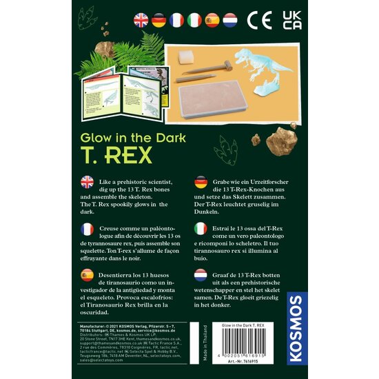 Kosmos Kosmos | Glow in the Dark T-Rex