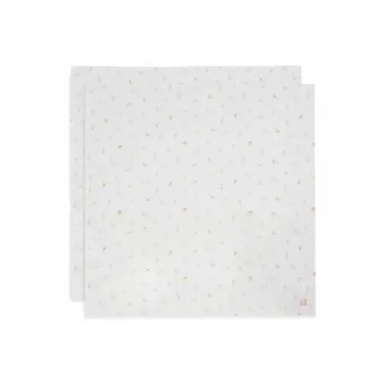 Jollein Jollein | Hydrophiles Tuch Groß 115x115cm Lovely Birds (2Pack)