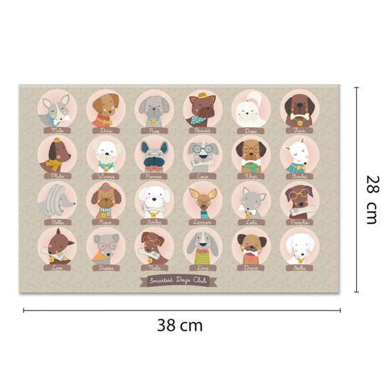 APLI APLI | Spel Wie Is Wie ?