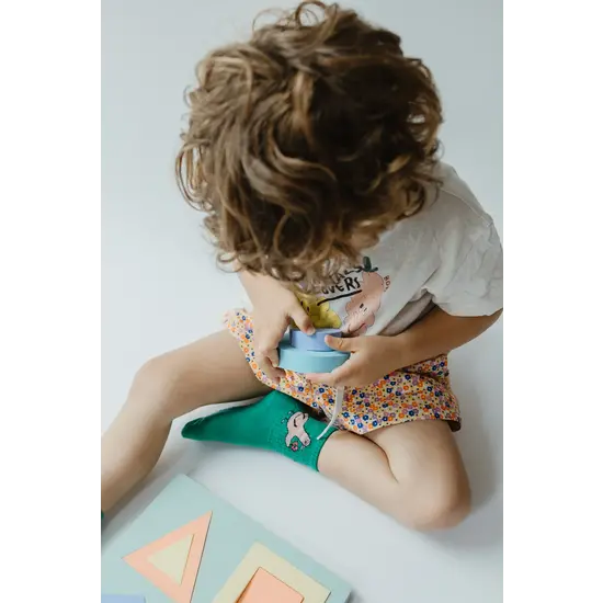 Moes Play Moes Educational puzzle Geometrica