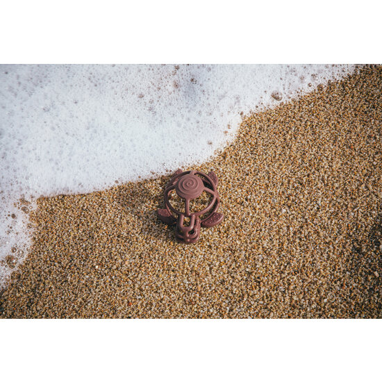 Little L Little L | Turtle Brown