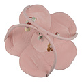 Little Dutch Little Dutch | Tapis d'activités Fairy Garden GRS