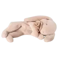 Maileg Maileg | Sleeping bunny plush, Small - Powder