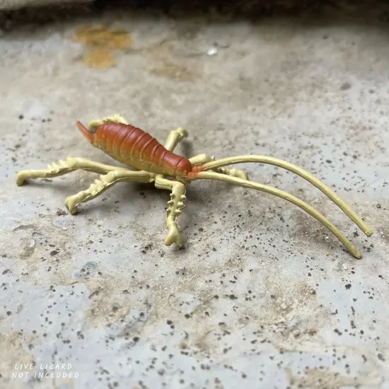 Safari Ltd Safari Ltd. | Playing figures Australian Continent