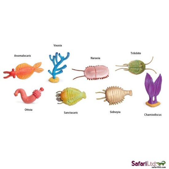 Safari Ltd Safari Ltd. | Playing figures Cambrian life