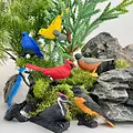 Safari Ltd Safari Ltd. | Figurines de jeu Oiseaux de basse-cour