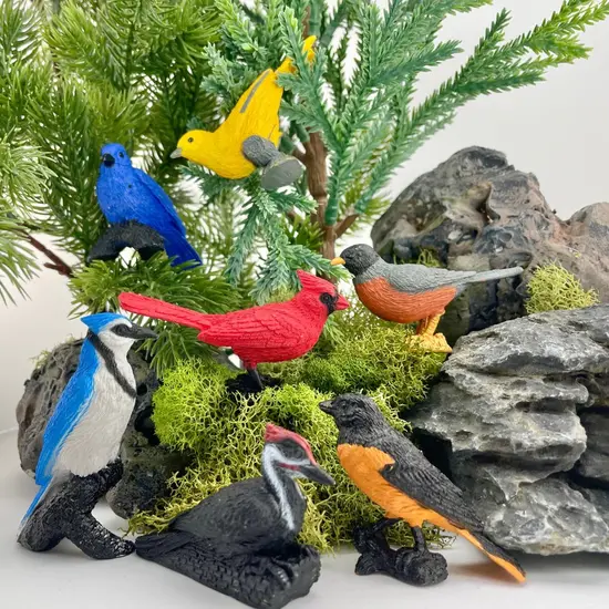 Safari Ltd Safari Ltd. | Play figures Backyard birds