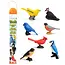 Safari Ltd Safari Ltd. | Figurines de jeu Oiseaux de basse-cour