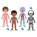 Janod Janod | Educational Puzzle Human Body