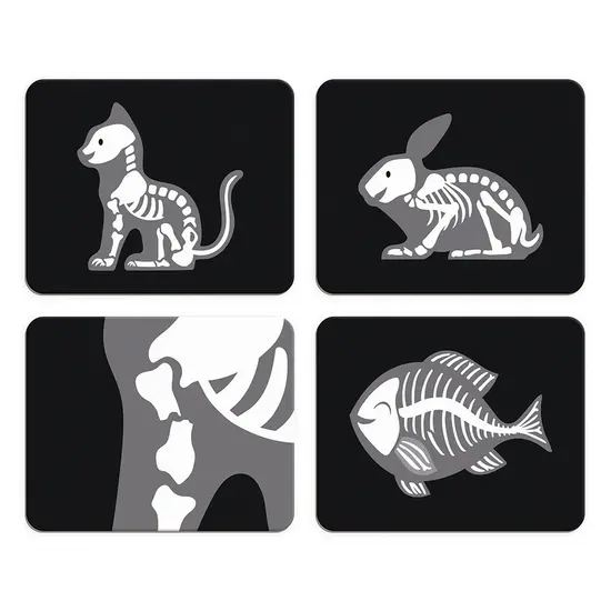 Janod Janod | Dierenarts Koffer