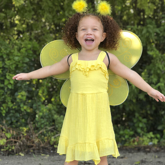 Great Pretenders Great Pretenders | Bumble Bee Wings & Headband
