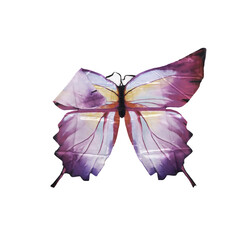 Great Pretenders | Ombre Schmetterling Soft Wings 4-6Y