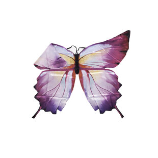 Great Pretenders | Ombre Butterfly Soft Wings 4-6Y