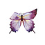 Great Pretenders Great Pretenders | Ailes souples de papillon ombré 4-6Y