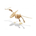 Buki Buki | Wooden Dino 3D Pteranodon